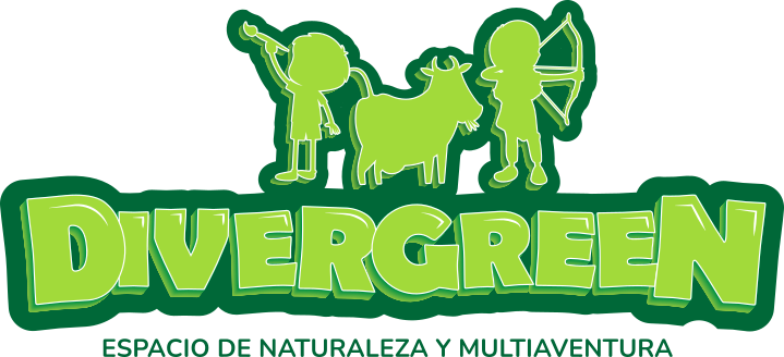 SEI Divergreen